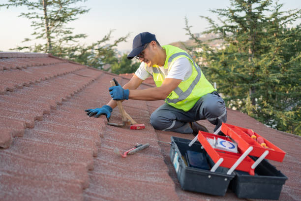Best Metal Roofing Contractor  in Williston, ND